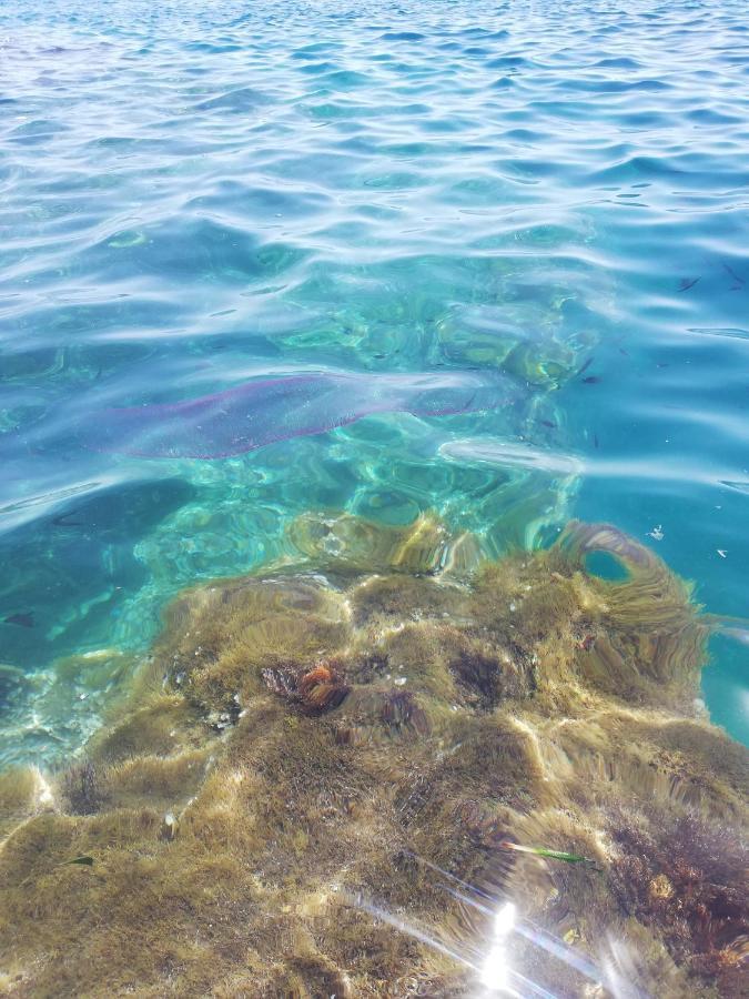 La Veranda Sul Mare Augusta Exteriör bild